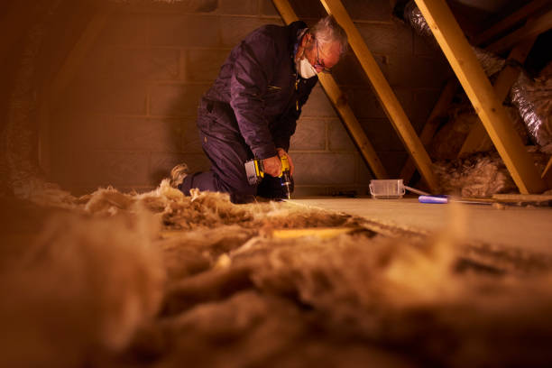 Best Crawl Space Insulation  in Port Dickinson, NY